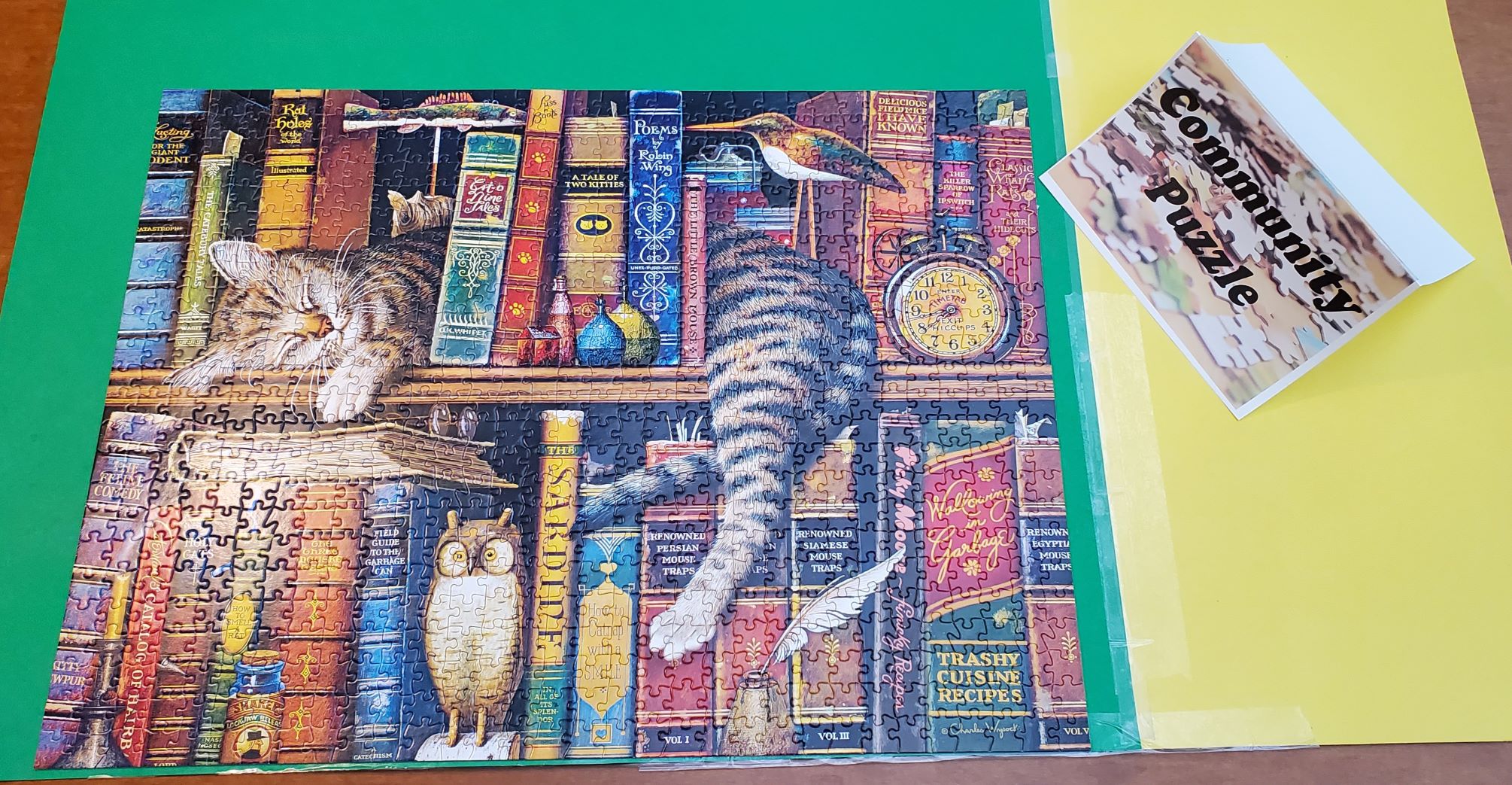 Jigsaw puzzle of bookshelf with a cat sleeping withing the books.