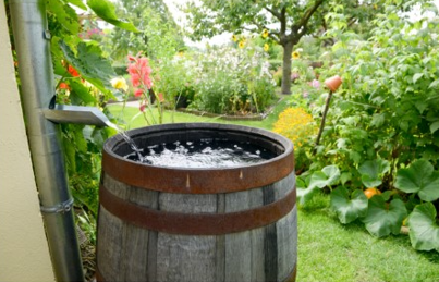 Photo of garden with a water spout that empties water into a wooden rain barrel